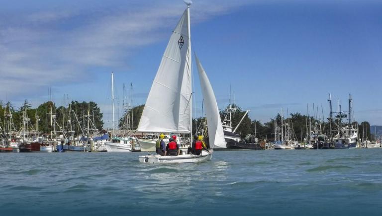 A small white sailboat with two sails, sailing across the waters of Humboldt Bay. Many ships docked in a harbor are visible in the background.