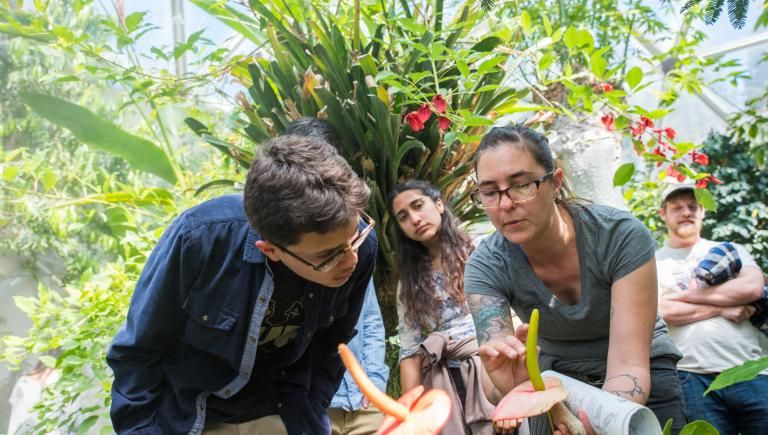 class in the greenhouse