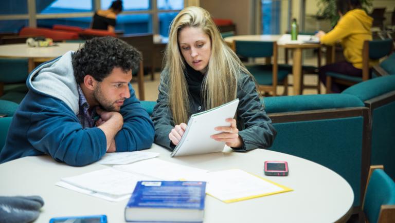 Student studying in library