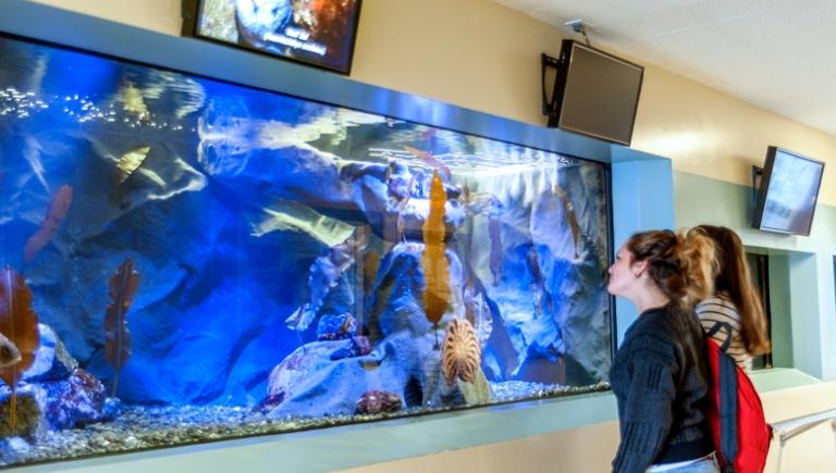 The Marine Lab is located in Trinidad, CA