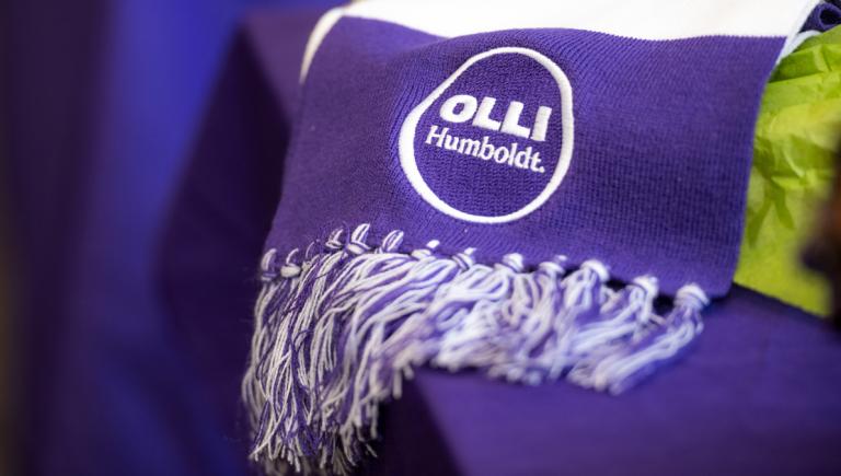 olli scarf