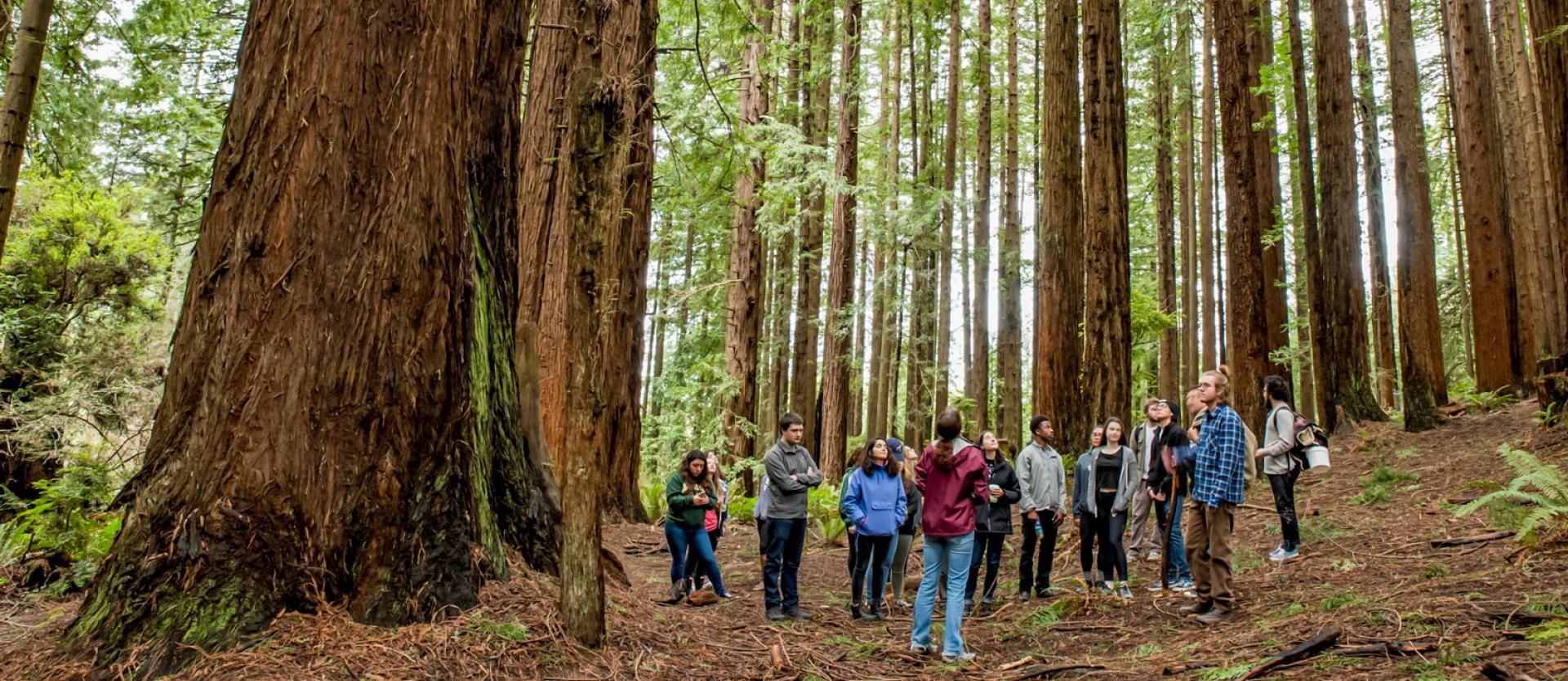 Botany, B.S. | Cal Poly Humboldt