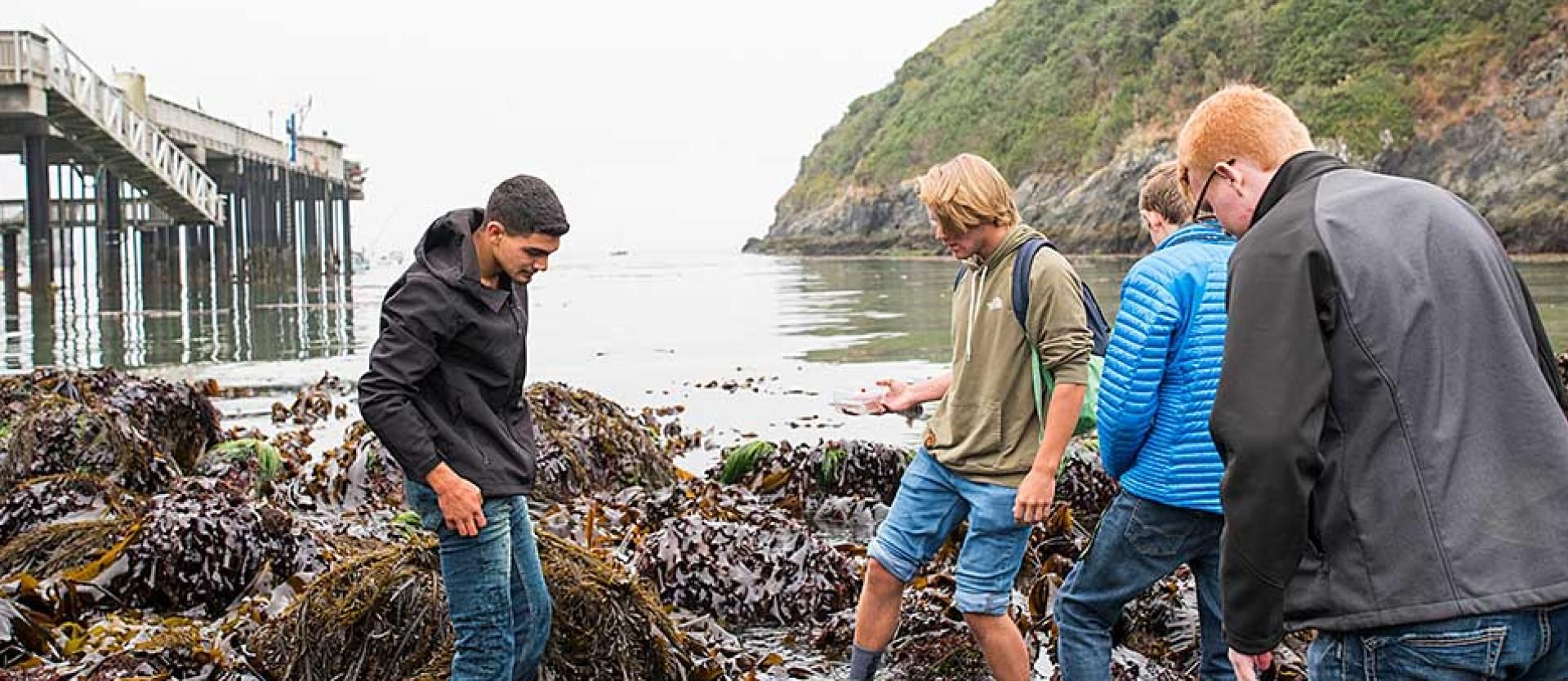 Rising Tides student tide pooling