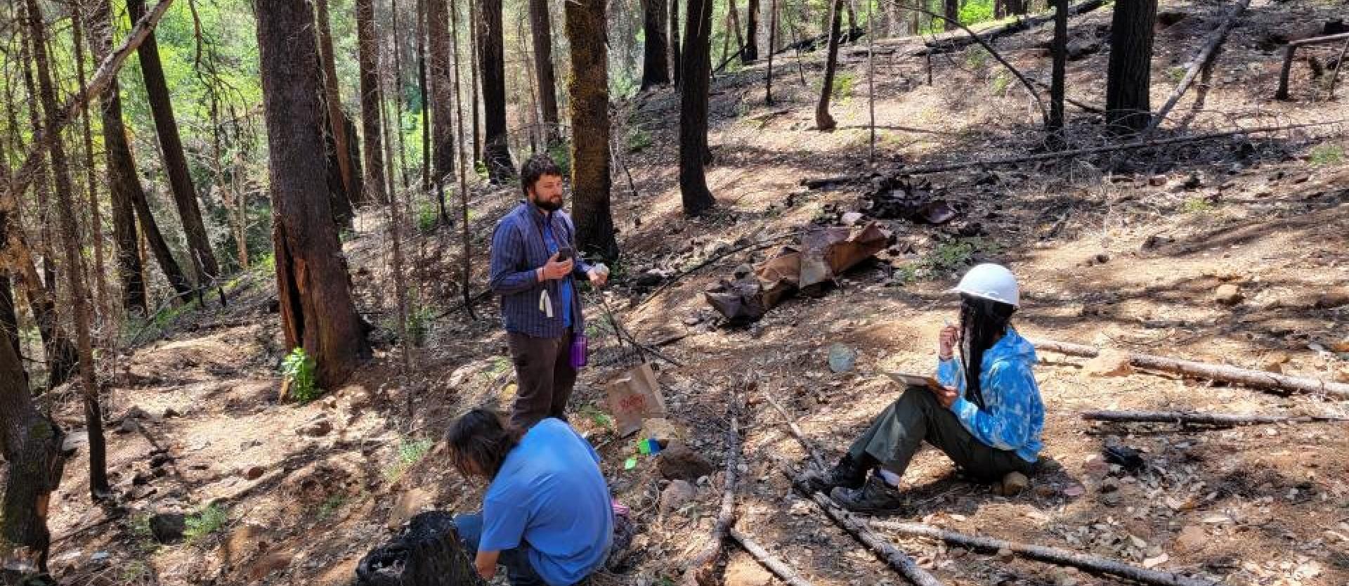 Students learning in the forest