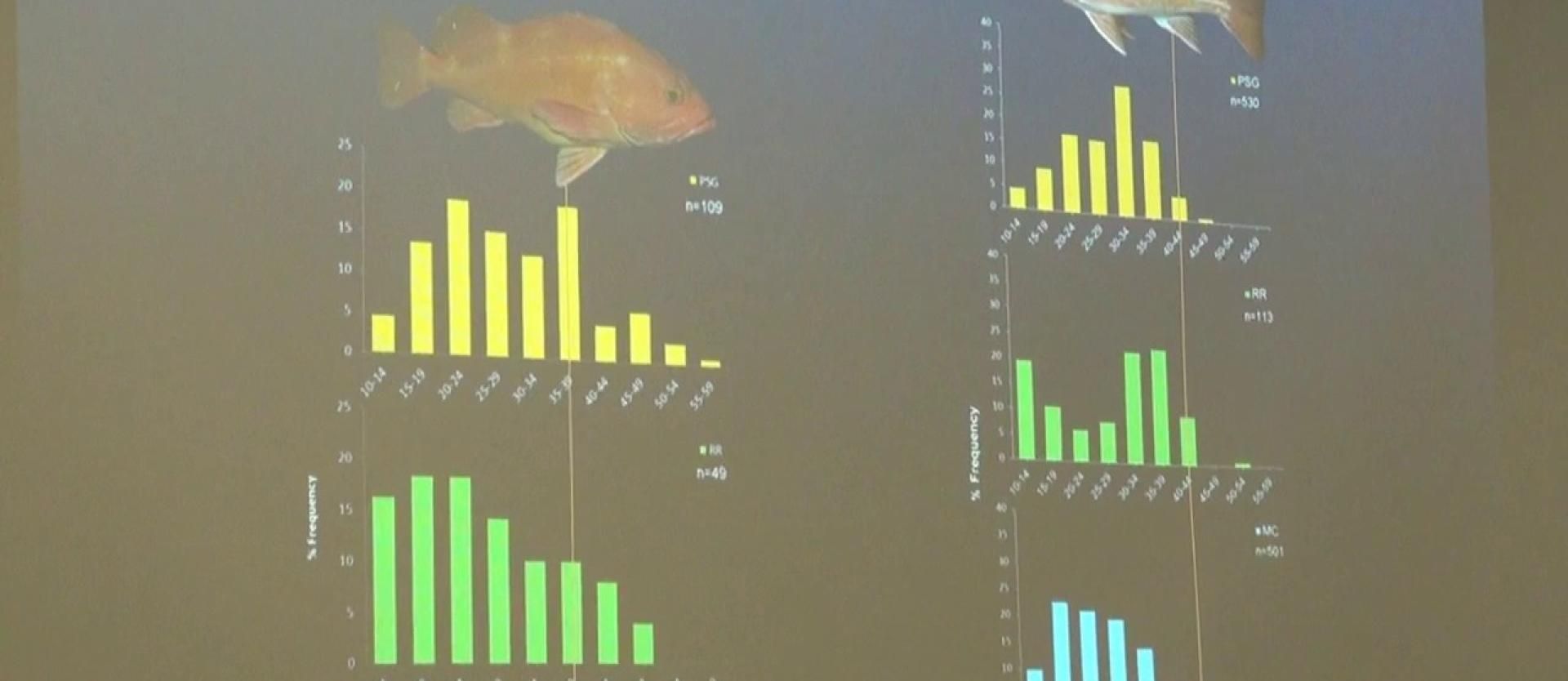 Mid-Depth and Deep Subtidal Ecosystems