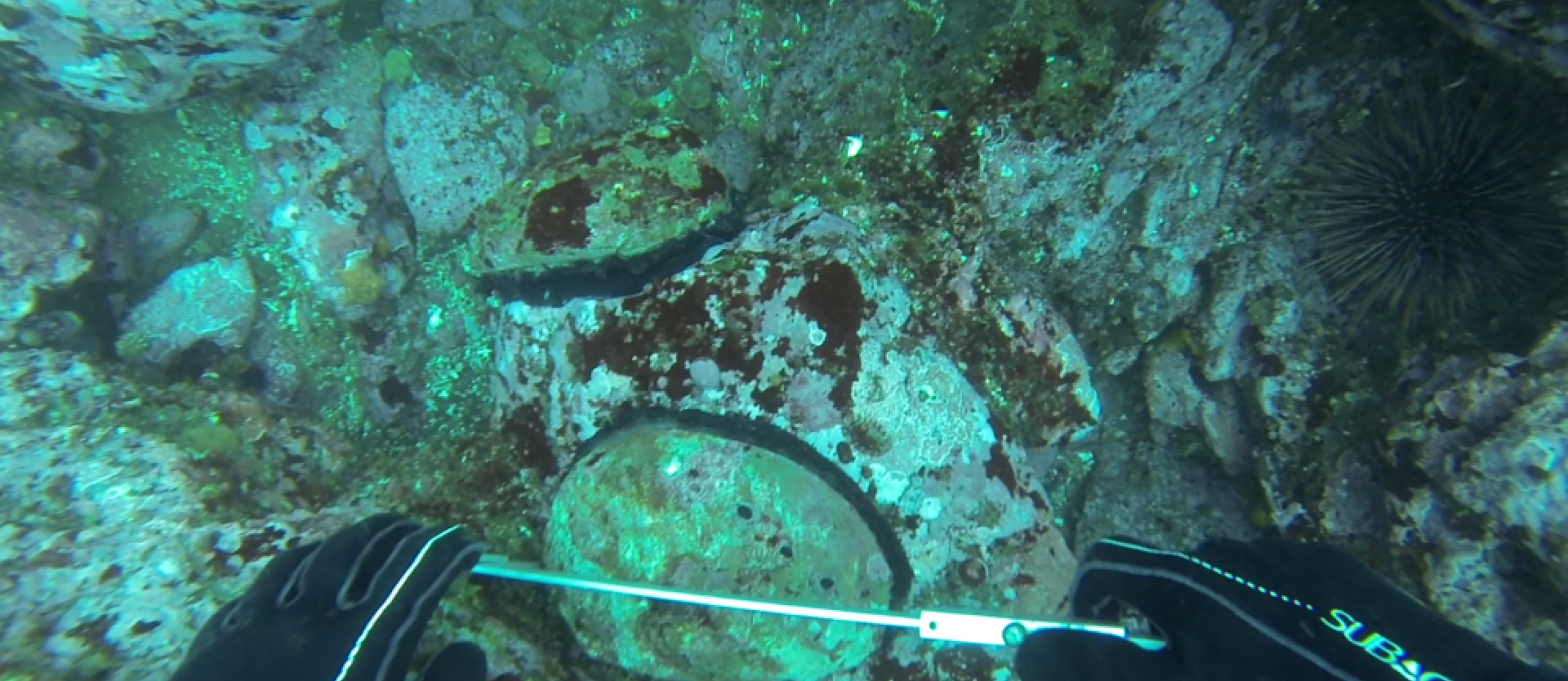 Scuba diver POV