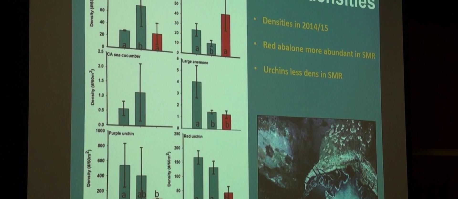 Citizen Science of Rocky Reefs and Kelp Forests