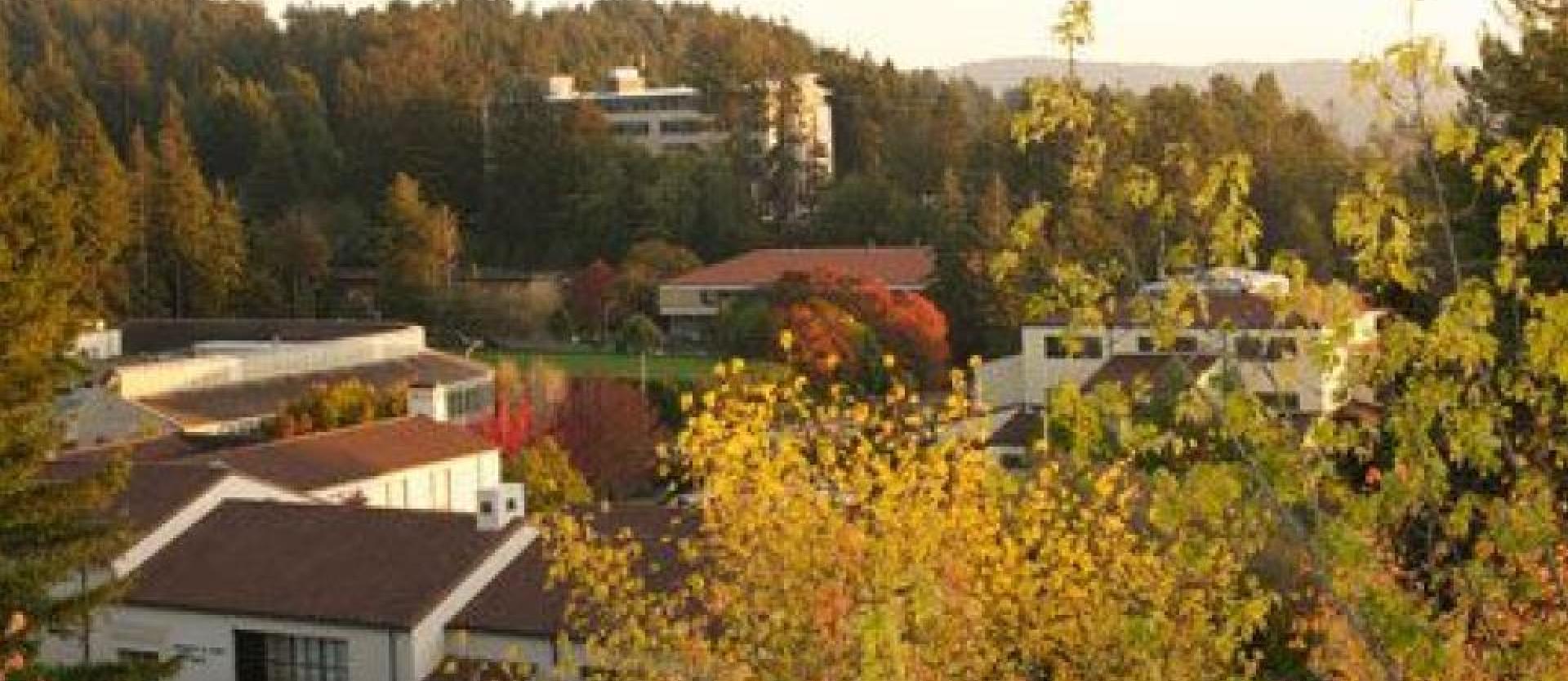 birds eye view of campus