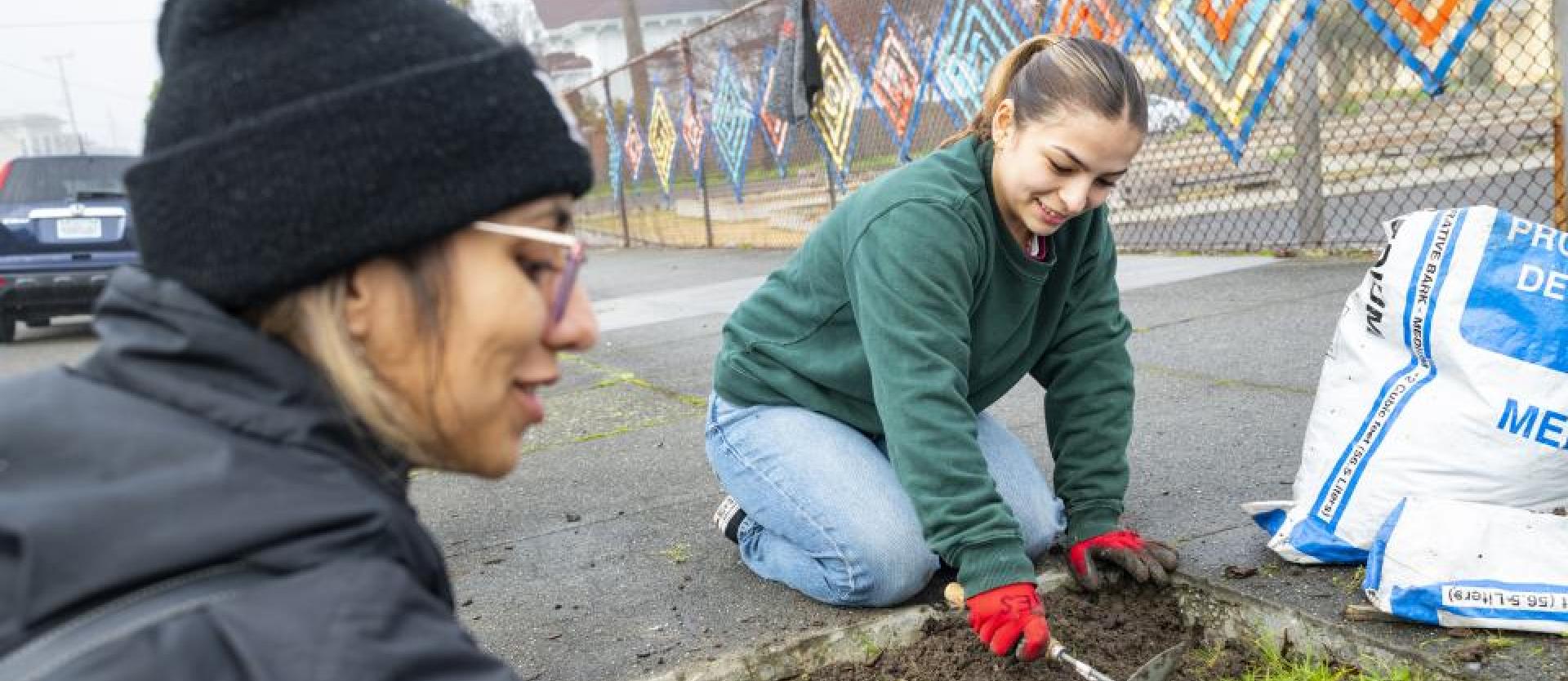 Weeding and mulching trees at Jefferson