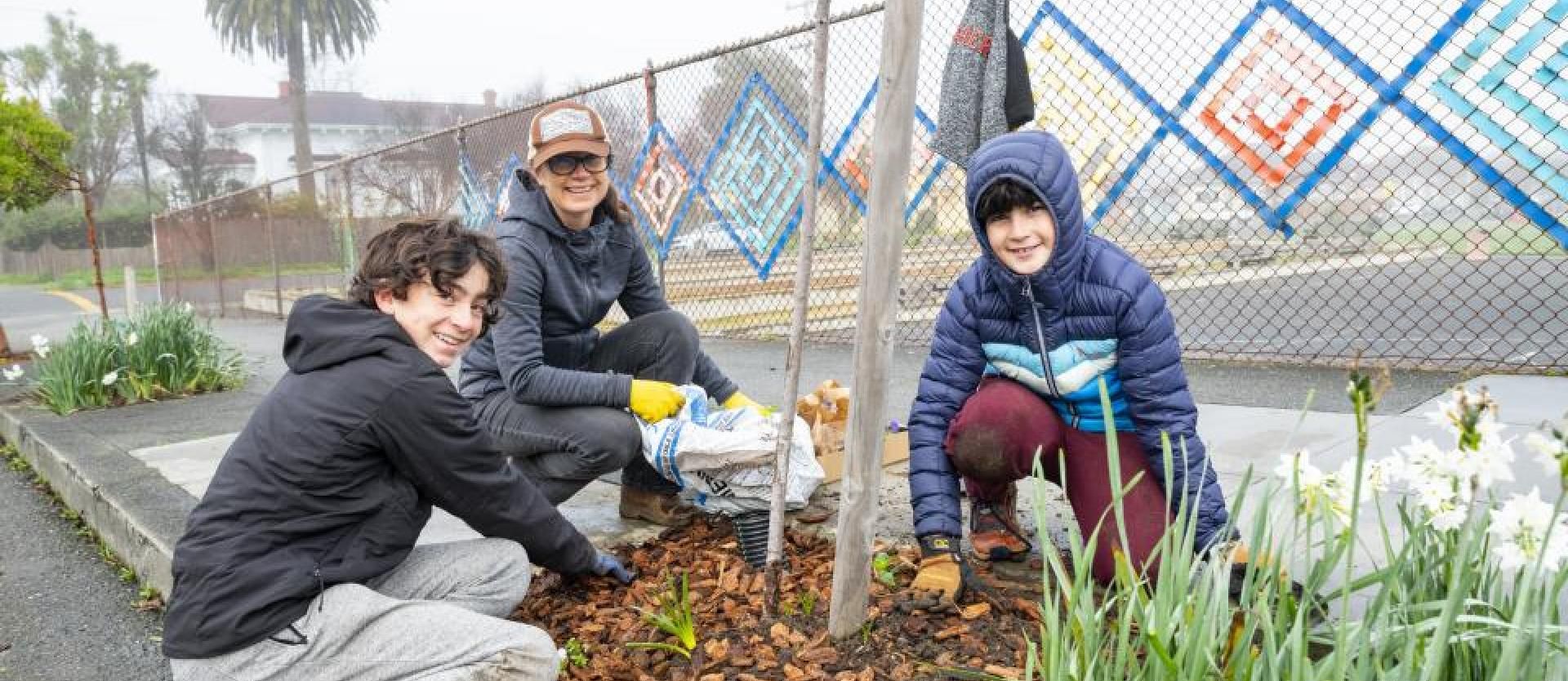 Mulching trees at Jefferson