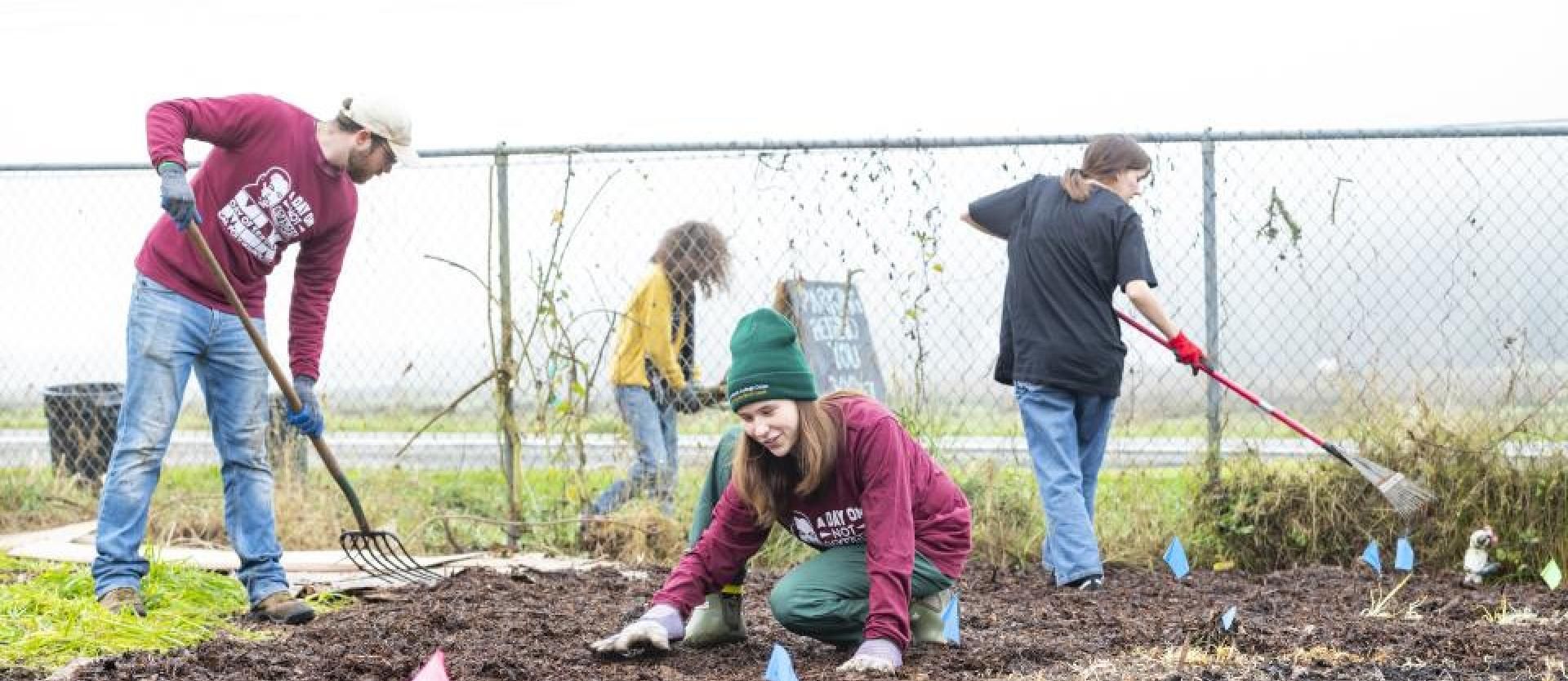 Mulching a garden bed at Freshwater Farms Reserve