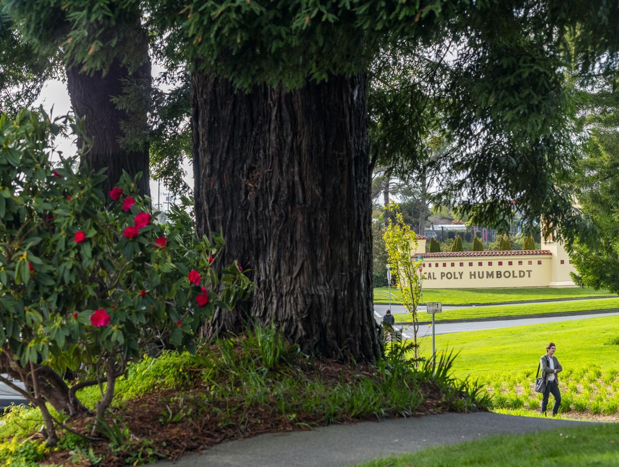 Graduate & Combined Degree Programs
