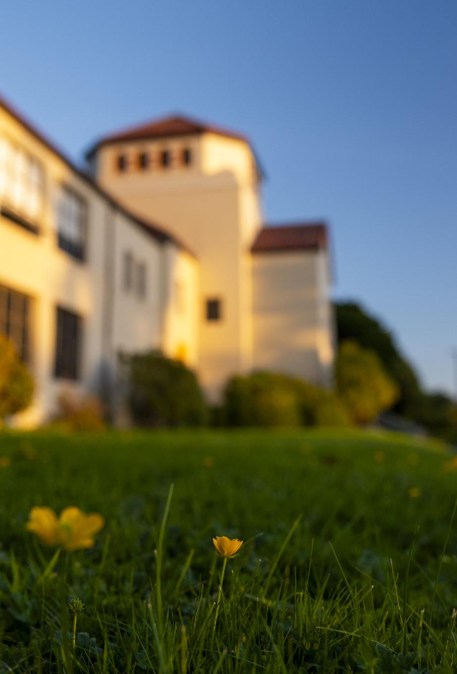 Looking up at Founders Hall at sunset