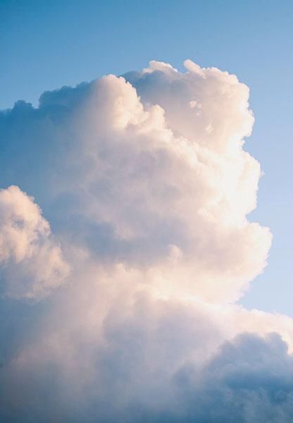 Image of Brandon Harlander