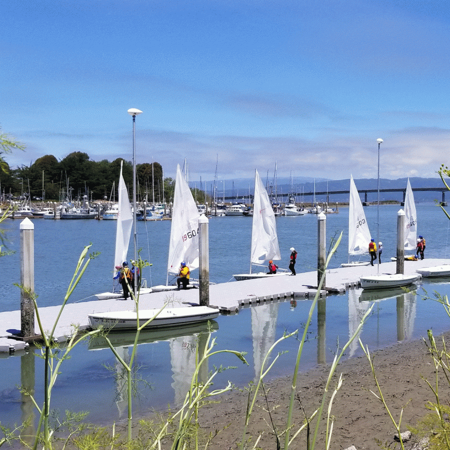 Five sailboats and people on the dock at Humboldt Bay