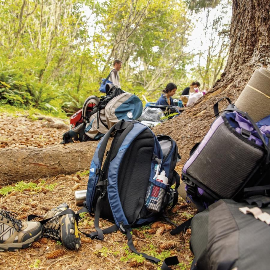 backpacks by a tree with hikers in the background