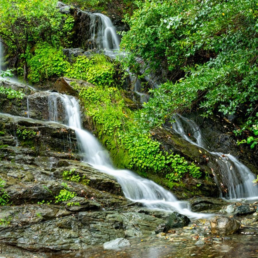 View of Trillium Falls