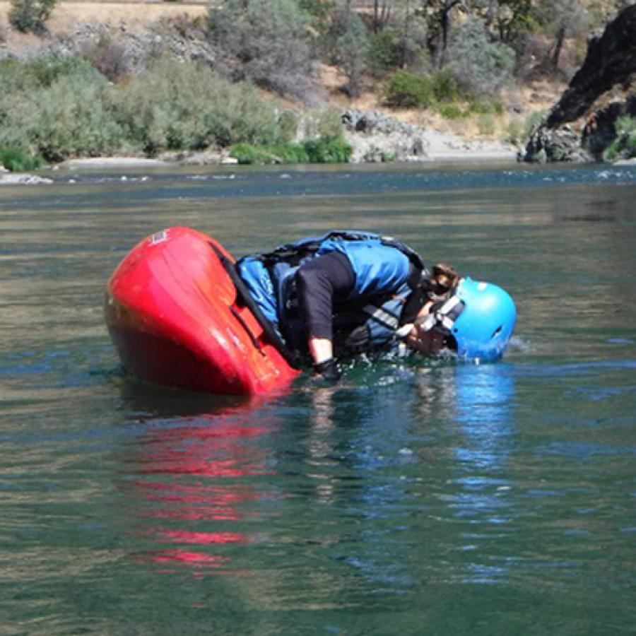 A kayaker in blue and in a red kayak rolling into the water and submerging their torso. They are in a river scene with trees and shrubs in the background