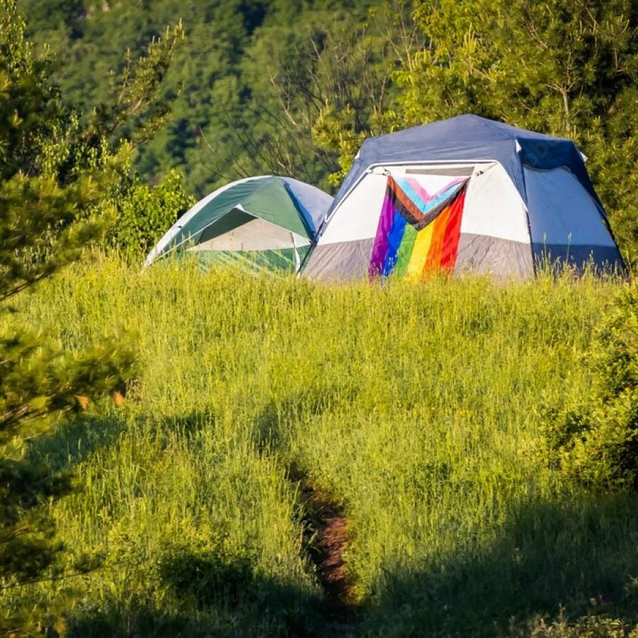 Two tents set up in a green, grassy field. One of the tents has a rainbow flag over it