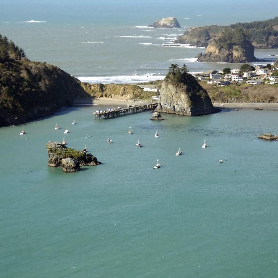 An aerial picture of the town of Trindad, CA. There is a large hillside to the left side of the picture with the large rock of Trinidad Head in the middle of the image. There are several houses on a smaller hillside at the right side of the frame. Several fishing boats are floating in the ocean water at the foreground