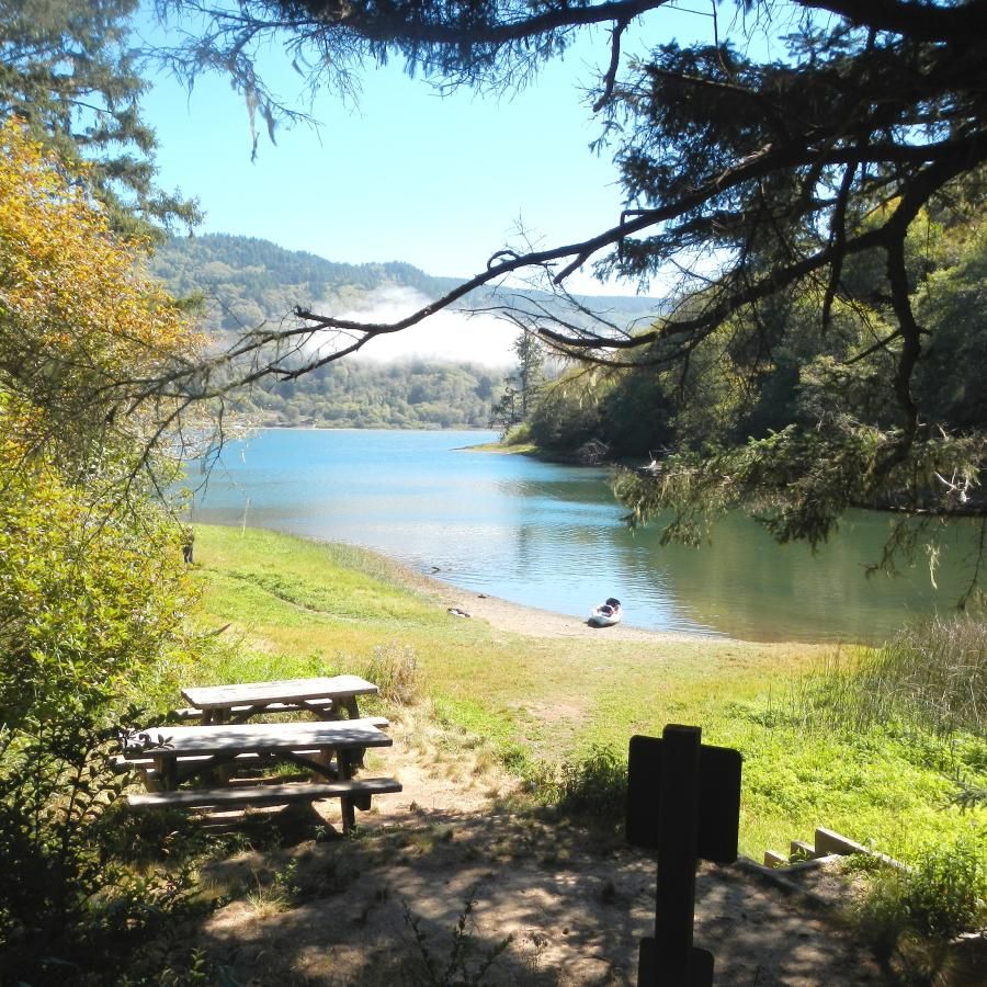 A wooden bench in the foreground facing a small lagoon with bright blue water. There are green grasses and bushes surrounding the lake. In the background, there are larger forested hills and a blue sky