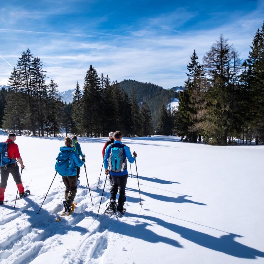 A group of hikers using snowshoes and hiking poles to walk through ankle deep snow. They are hiking towards a forested area of pine trees, with a mountain in the background. Blue sky and clouds are above them.