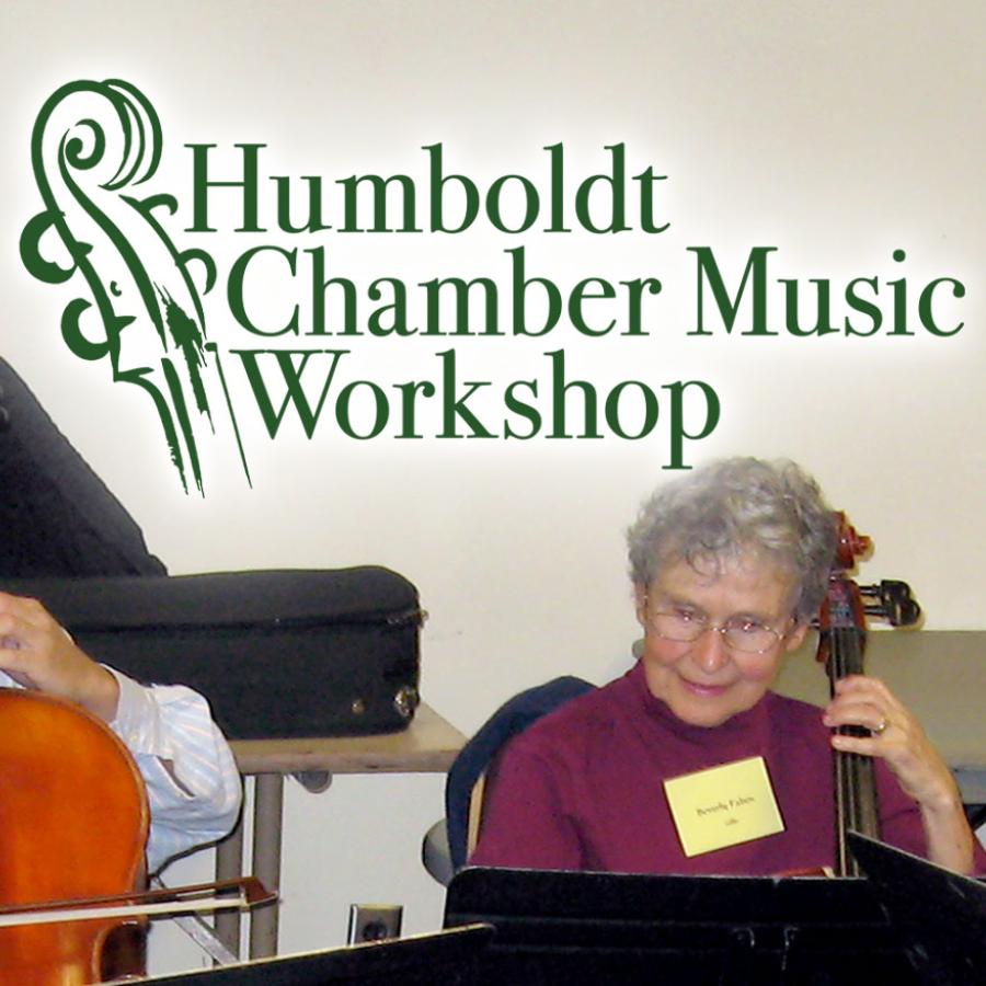 Humboldt Chamber Music Workshop - string quartet players