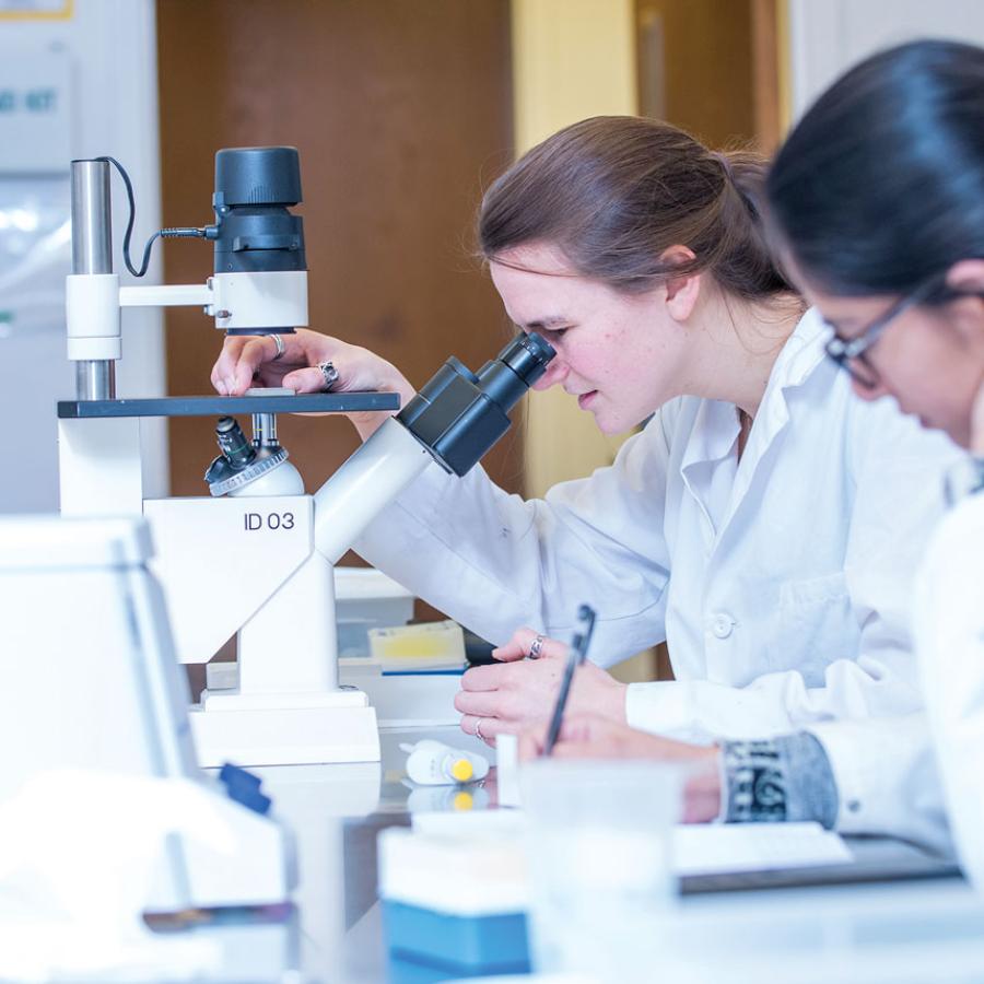 Two women working in a lab, using a microsope and taking notes