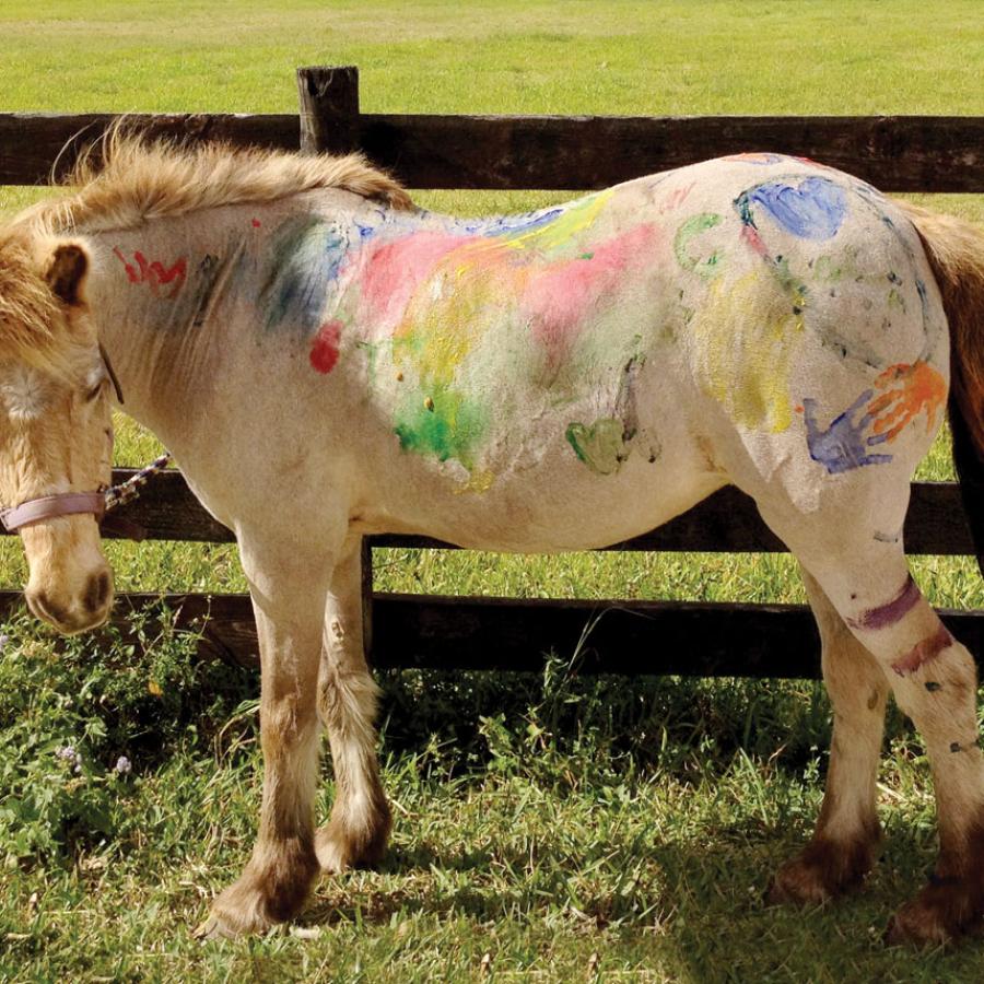 Pony with handprints of nontoxic paint on its coat