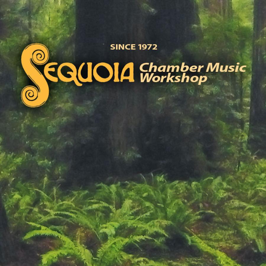 Sequoia Chamber Music Workshop since 1972 - Redwood forest illustration