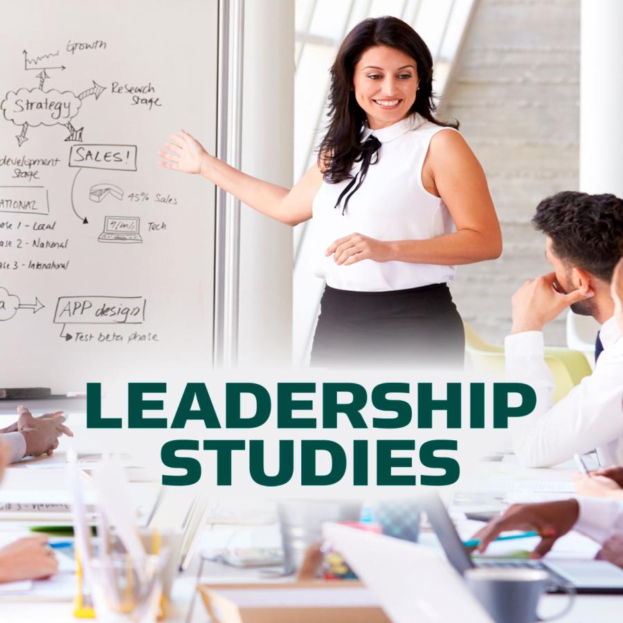 Leadership studies - person pointing to a white board and talking to a group of people at a table