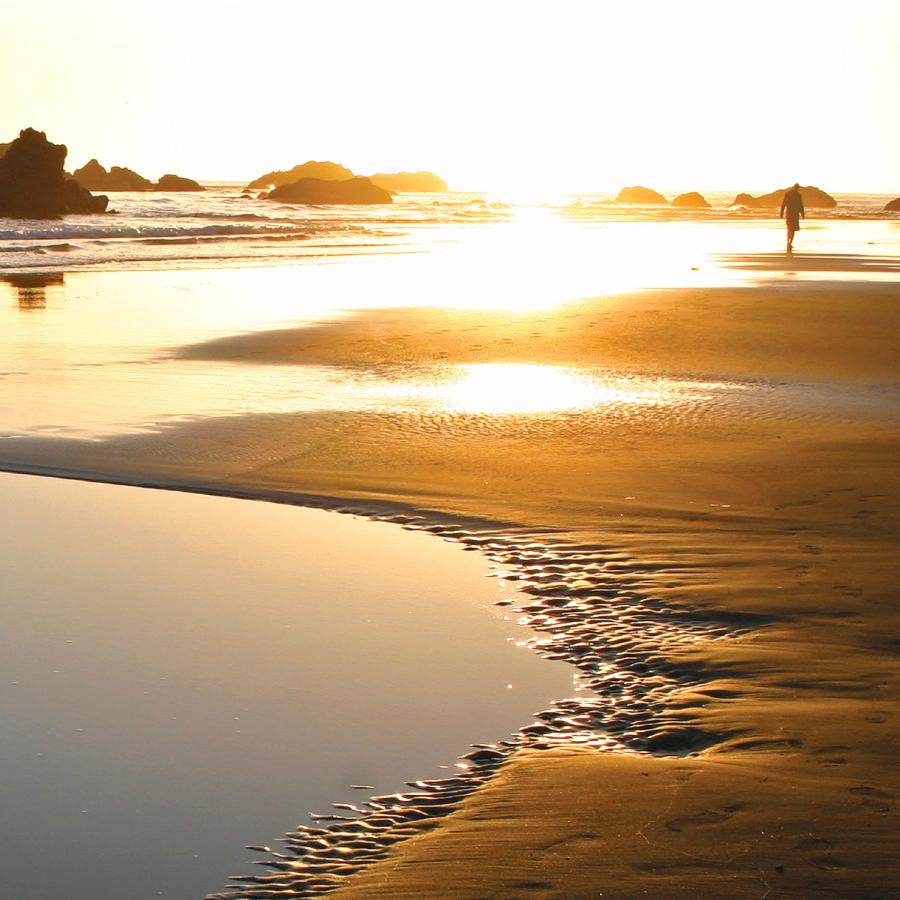 Beach at sunset