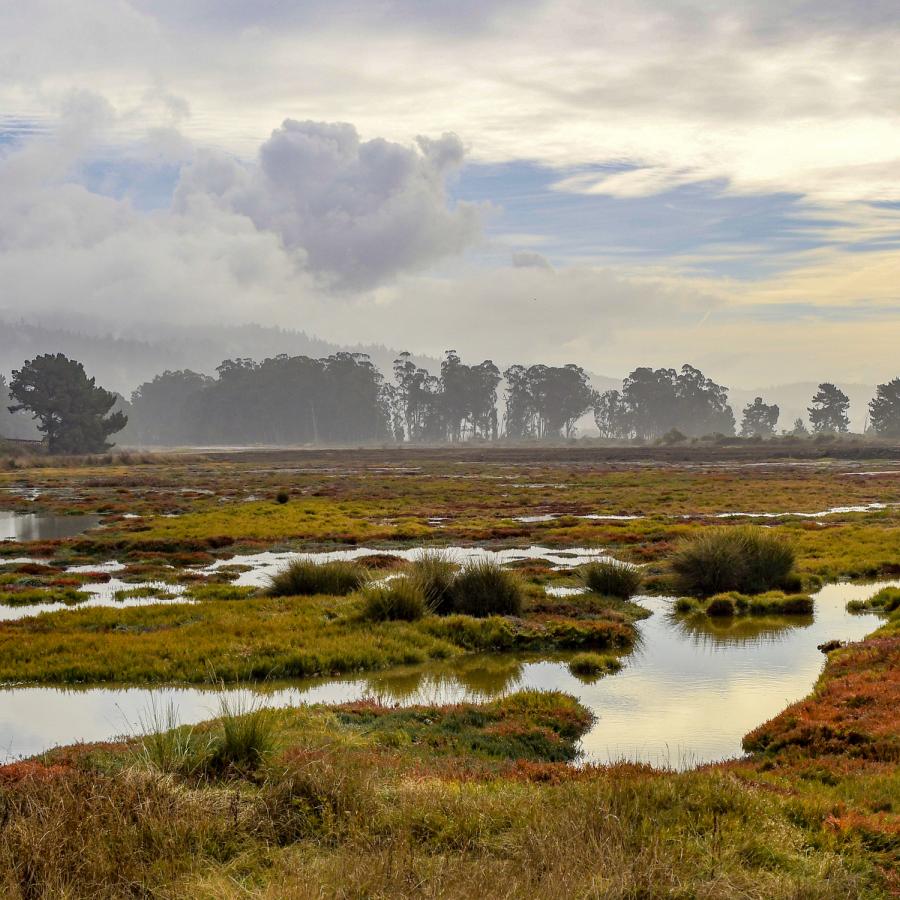 Humboldt Bay