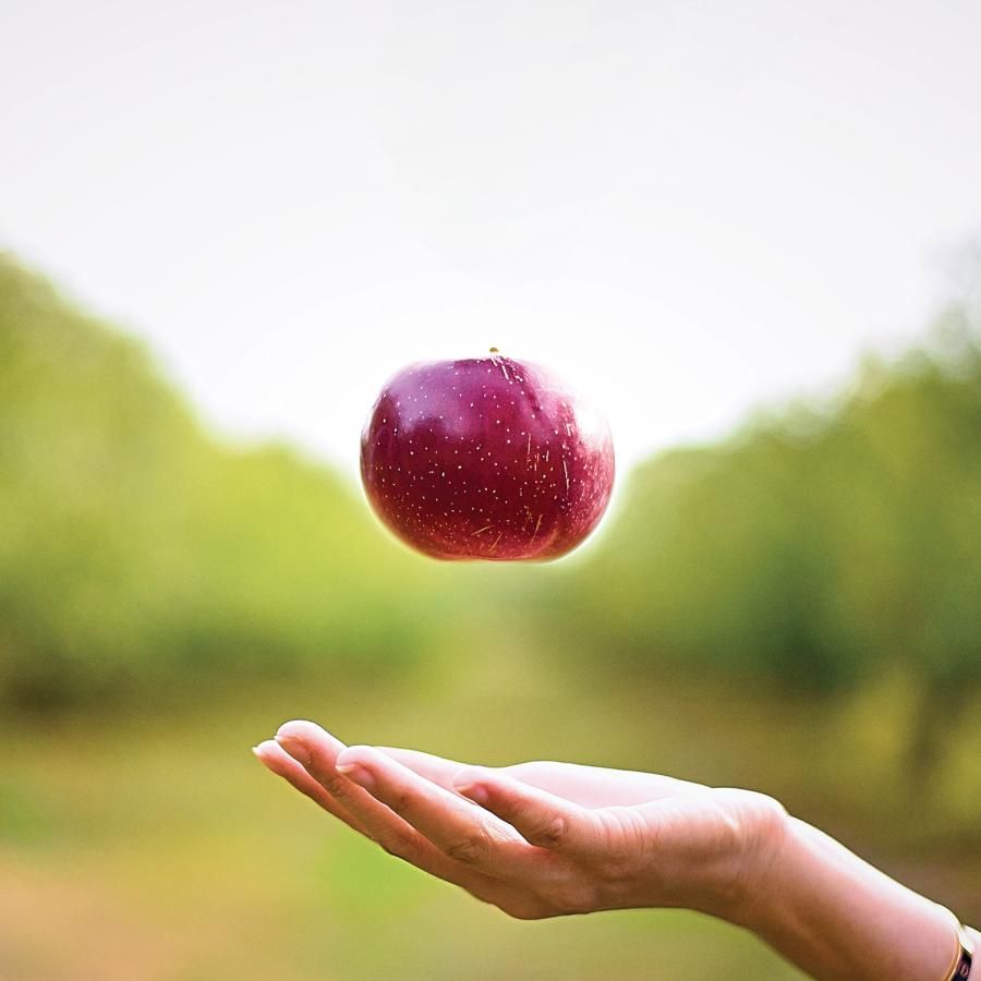 Apple falling into a waiting hand