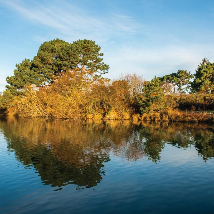 Arcata Marsh Arcata Marsh