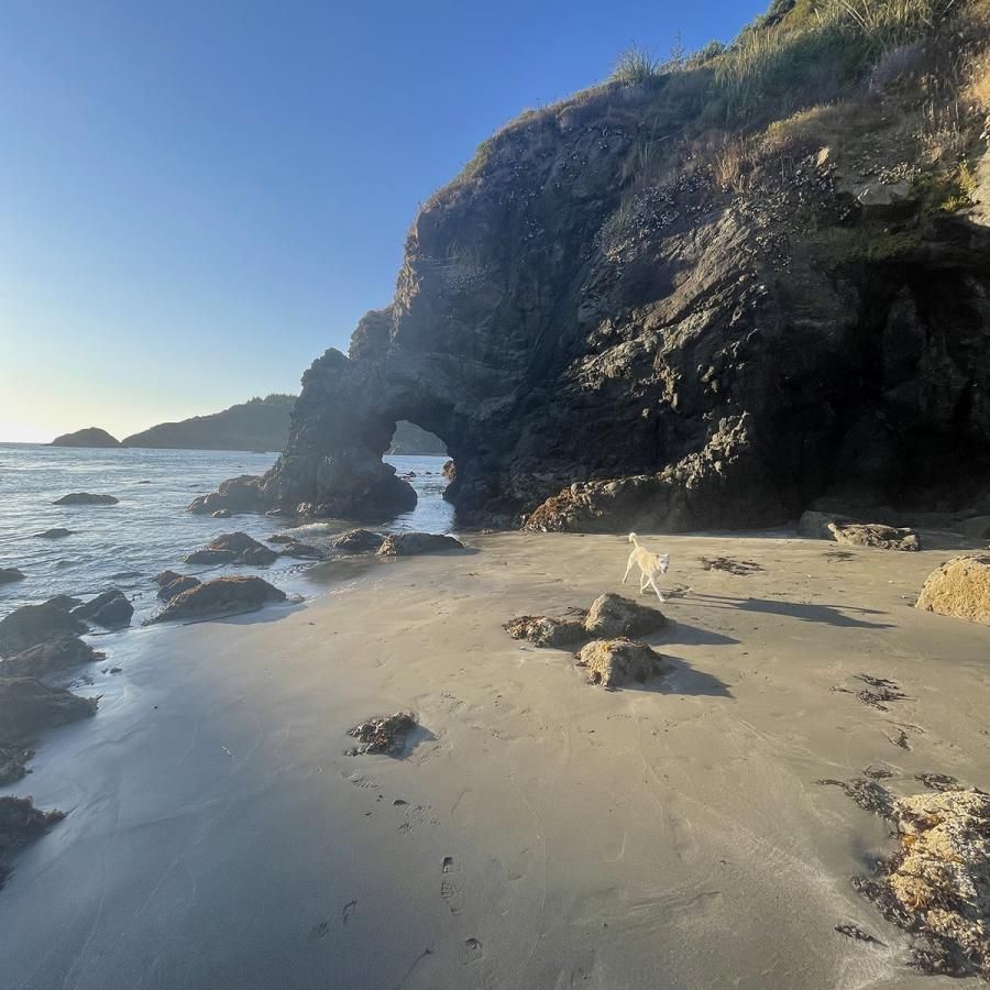 Humboldt County beach view Humboldt County beach view