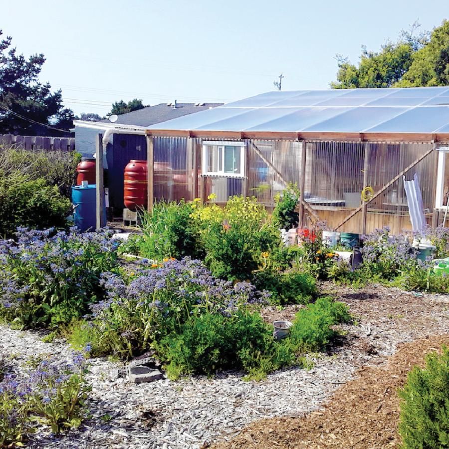 Greenhouse and garden Greenhouse and garden