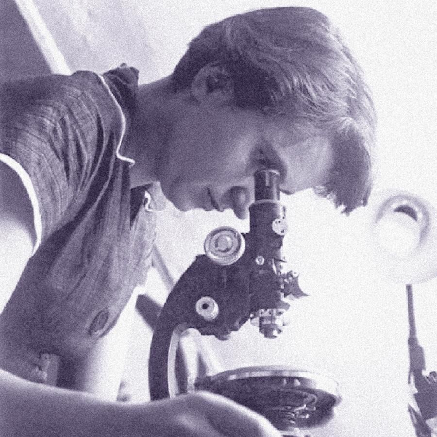 British chemist Rosalind Franklin British chemist Rosalind Franklin