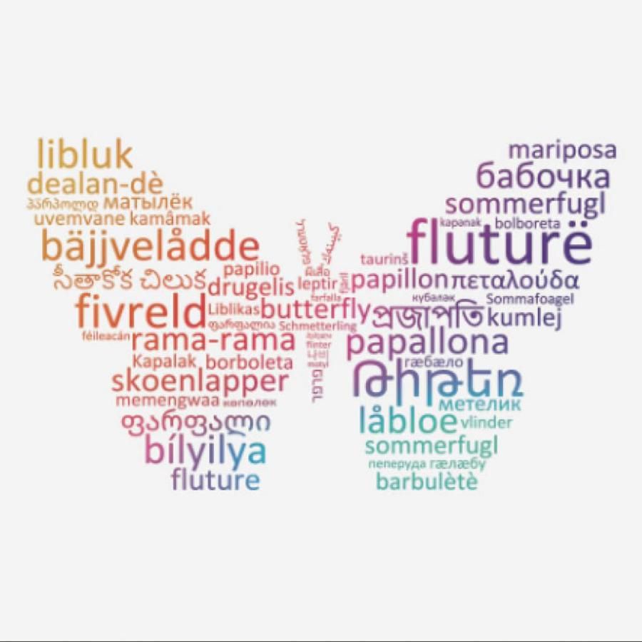 Butterfly made up of words in different languages, from the cover of the book, World Languages Butterfly made up of words in different languages, from the cover of the book, World Languages