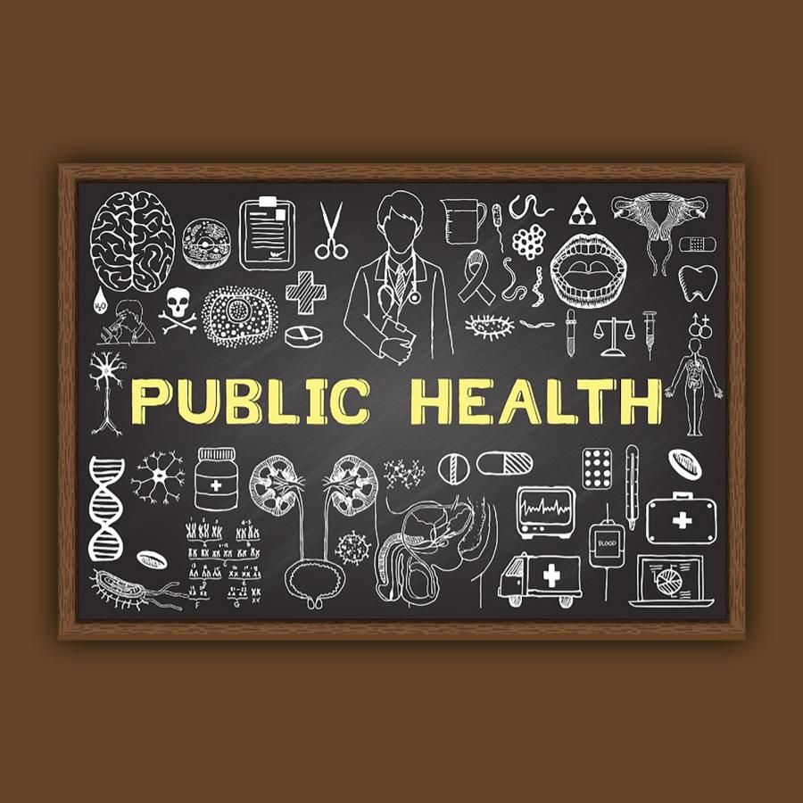 Public Health Public Health