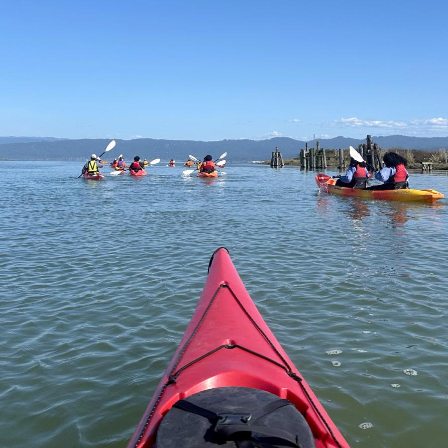 View from a kayak of Humboldt Bay View from a kayak of Humboldt Bay