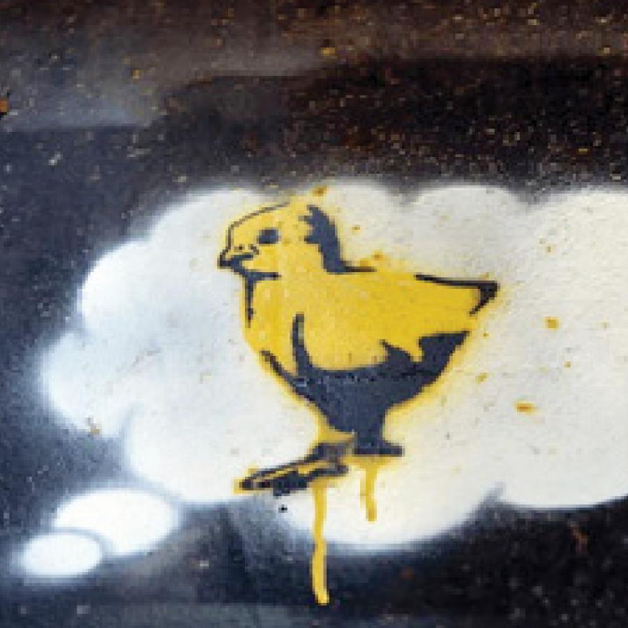 spraypainted thought bubble containing a yellow baby chick spraypainted thought bubble containing a yellow baby chick