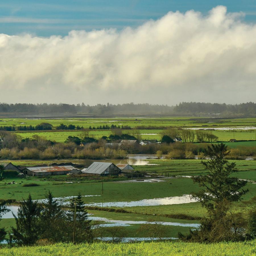 Humboldt Bay bottoms view Humboldt Bay bottoms view