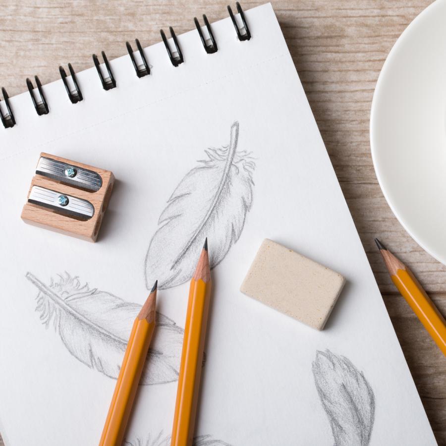 person drawing feathers with pencils person drawing feathers with pencils