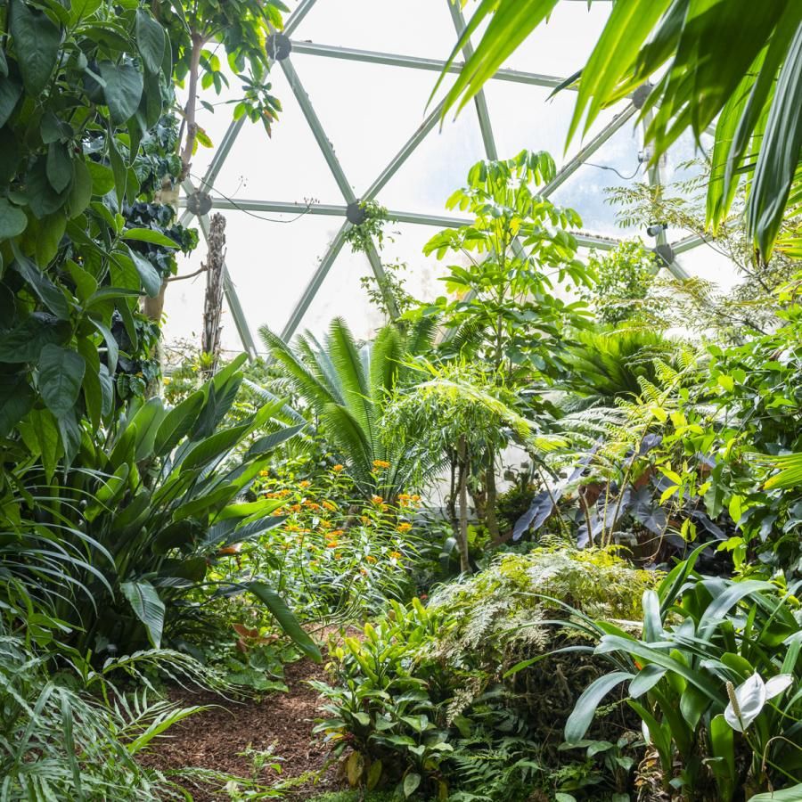 Cal Poly Humboldt greenhouse dome Cal Poly Humboldt greenhouse dome