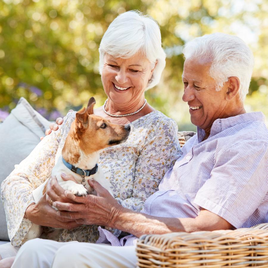 Happy couple playing with their dog Happy couple playing with their dog