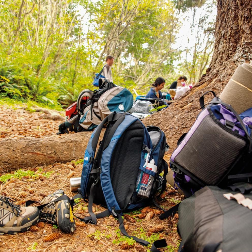 backpacks sitting next to a tree