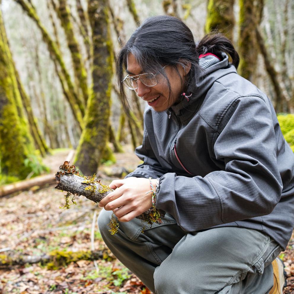 A male hispanic student with long hair examining a piece of wood in a forest