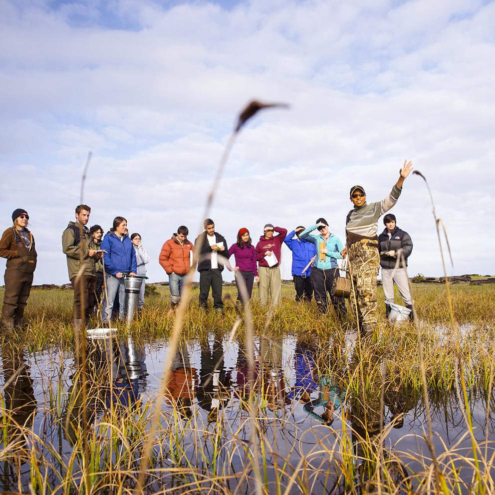 group of students and a teacher in the middle of a wetland area