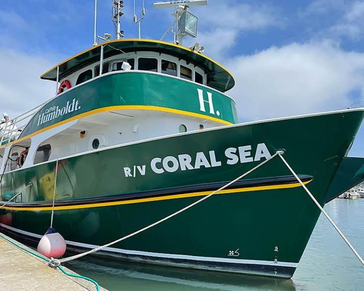 The coral sea boat